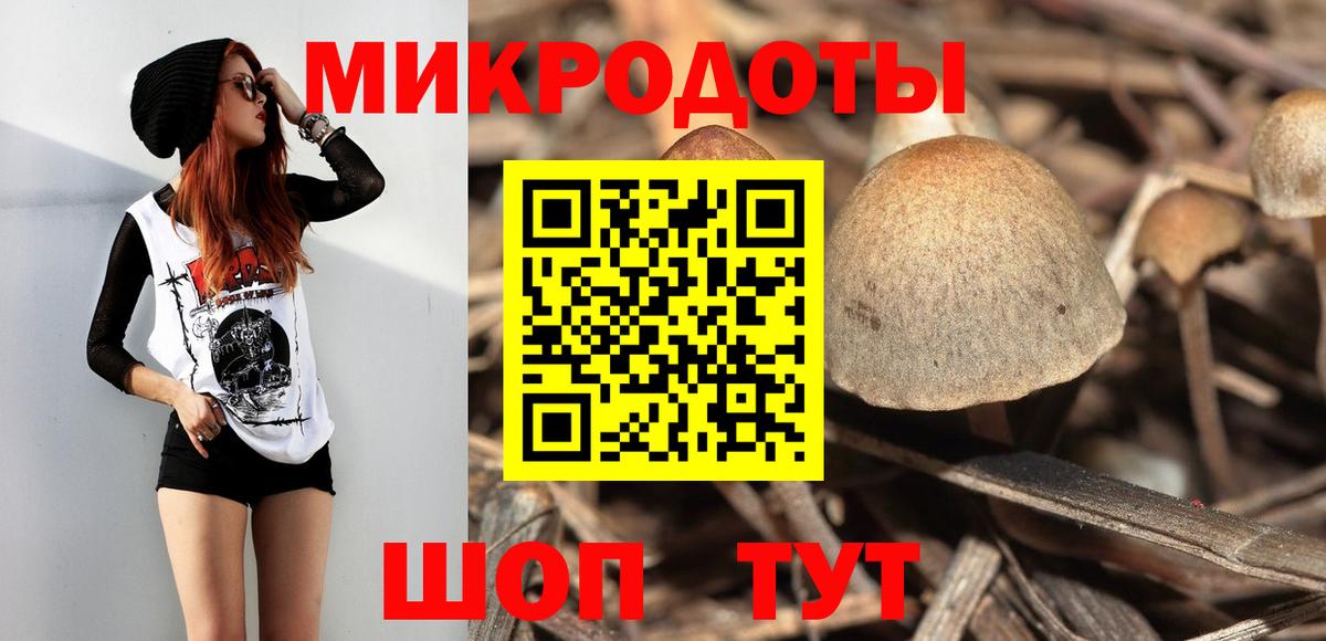 Псилоцибиновые грибы Psilocybine cubensis  Вход с VPN  Менделеевск  Псилоцибиновые грибы ЛСД 